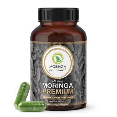 Moringa PREMIUM – Moringa Caribbean