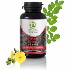 Moringa Caribbean Sport